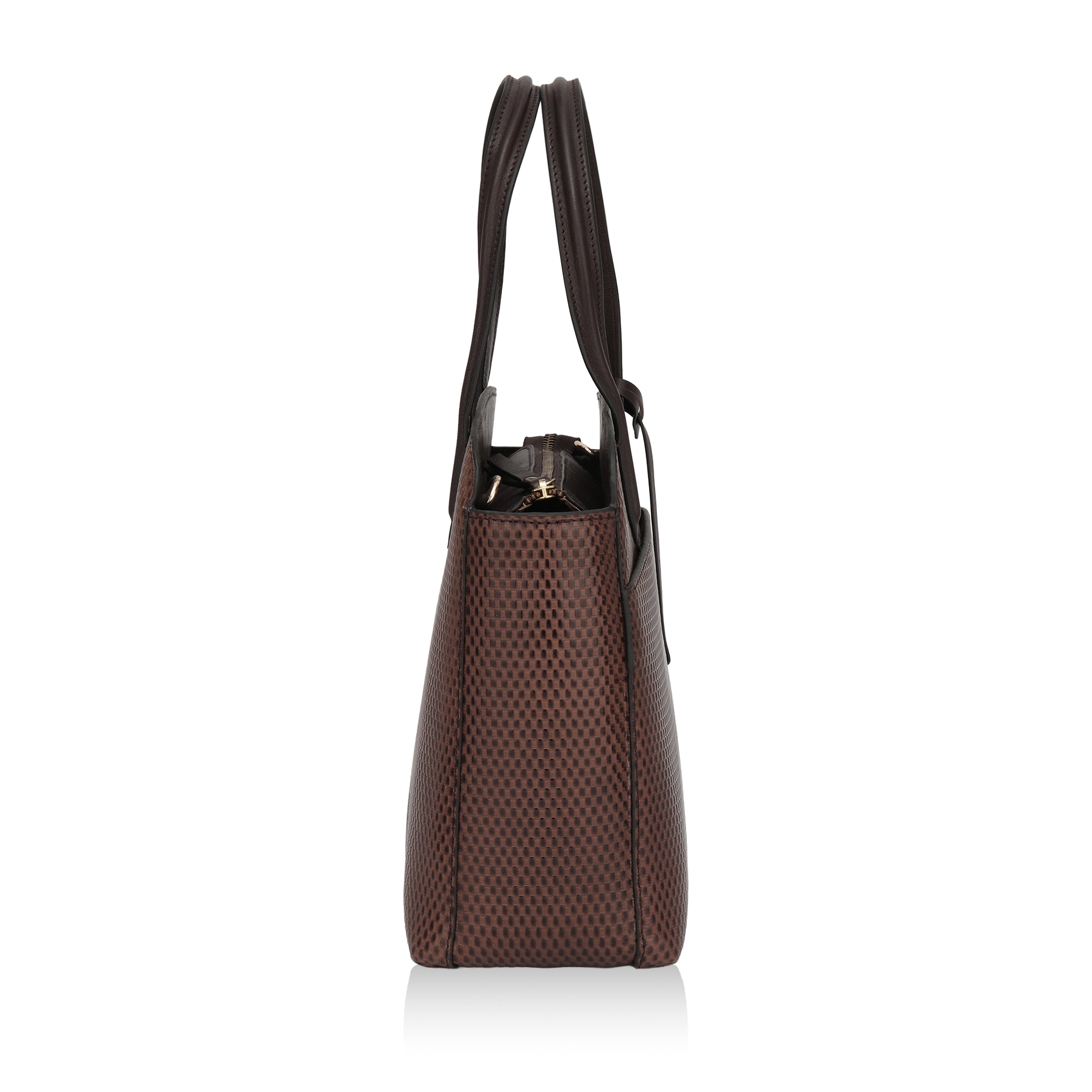 Opula: Scaled Leather Handbag (Brown)